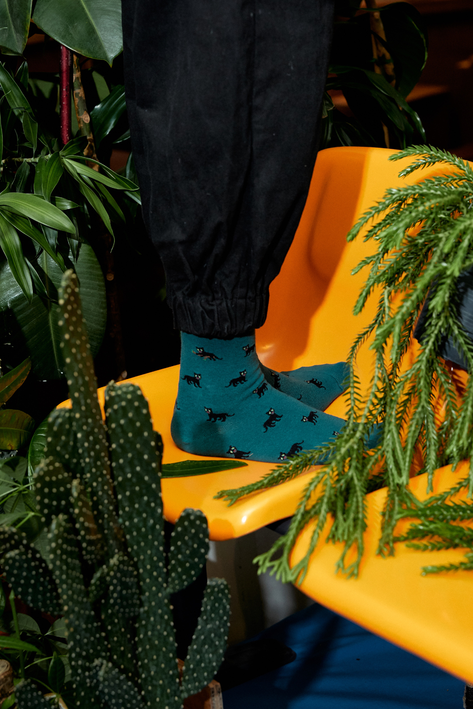 オリジナルパターンシリーズ Sサイズ(ウィメンズ向け22-26cm)