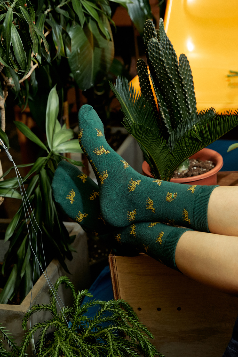 オリジナルパターンシリーズ Sサイズ(ウィメンズ向け22-26cm)