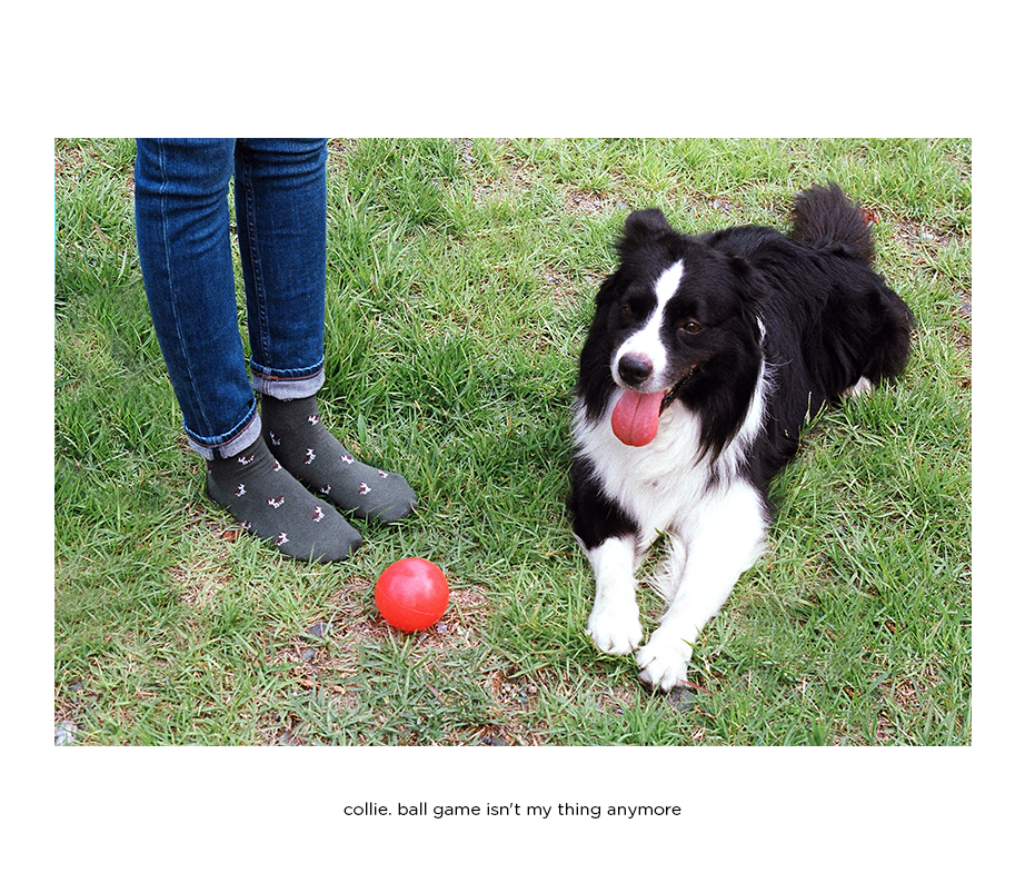 オリジナルパターンシリーズ Sサイズ(ウィメンズ向け22-26cm)