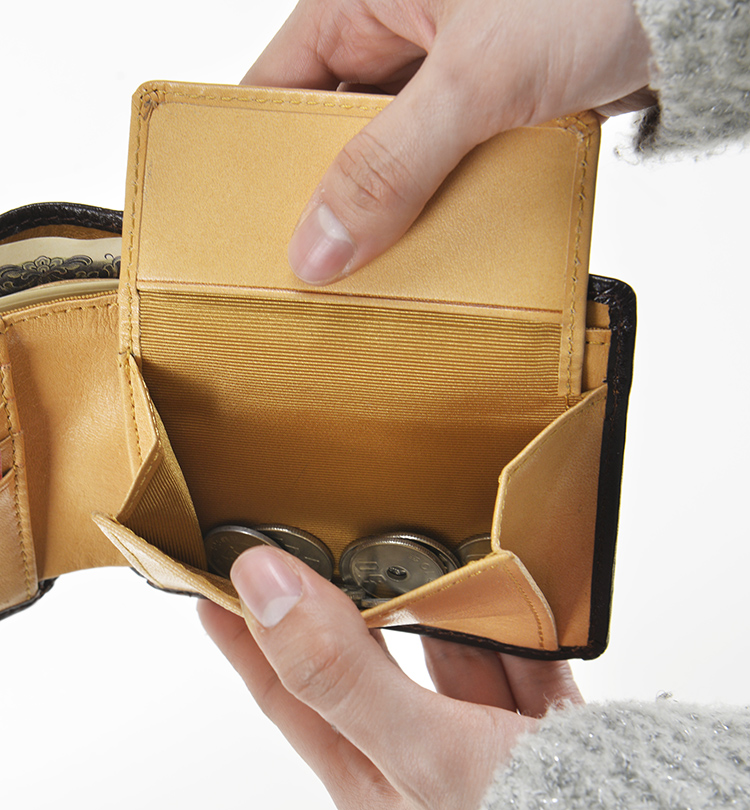 二つ折り札入れ　アオリカード段付き