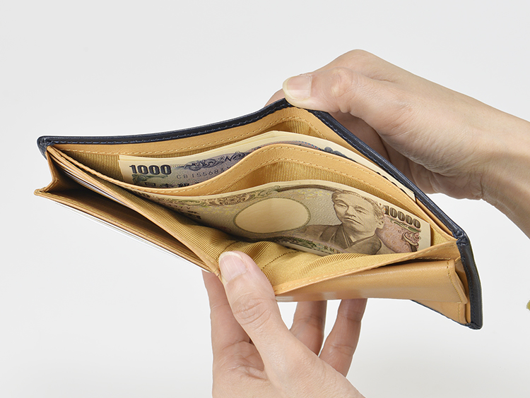 二つ折り札入れ　アオリカード段付き