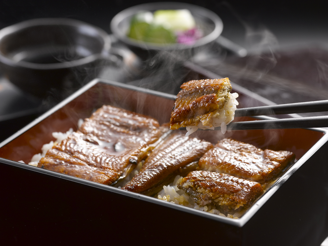 愛知県産うなぎの特製蒲焼 RUIC0559