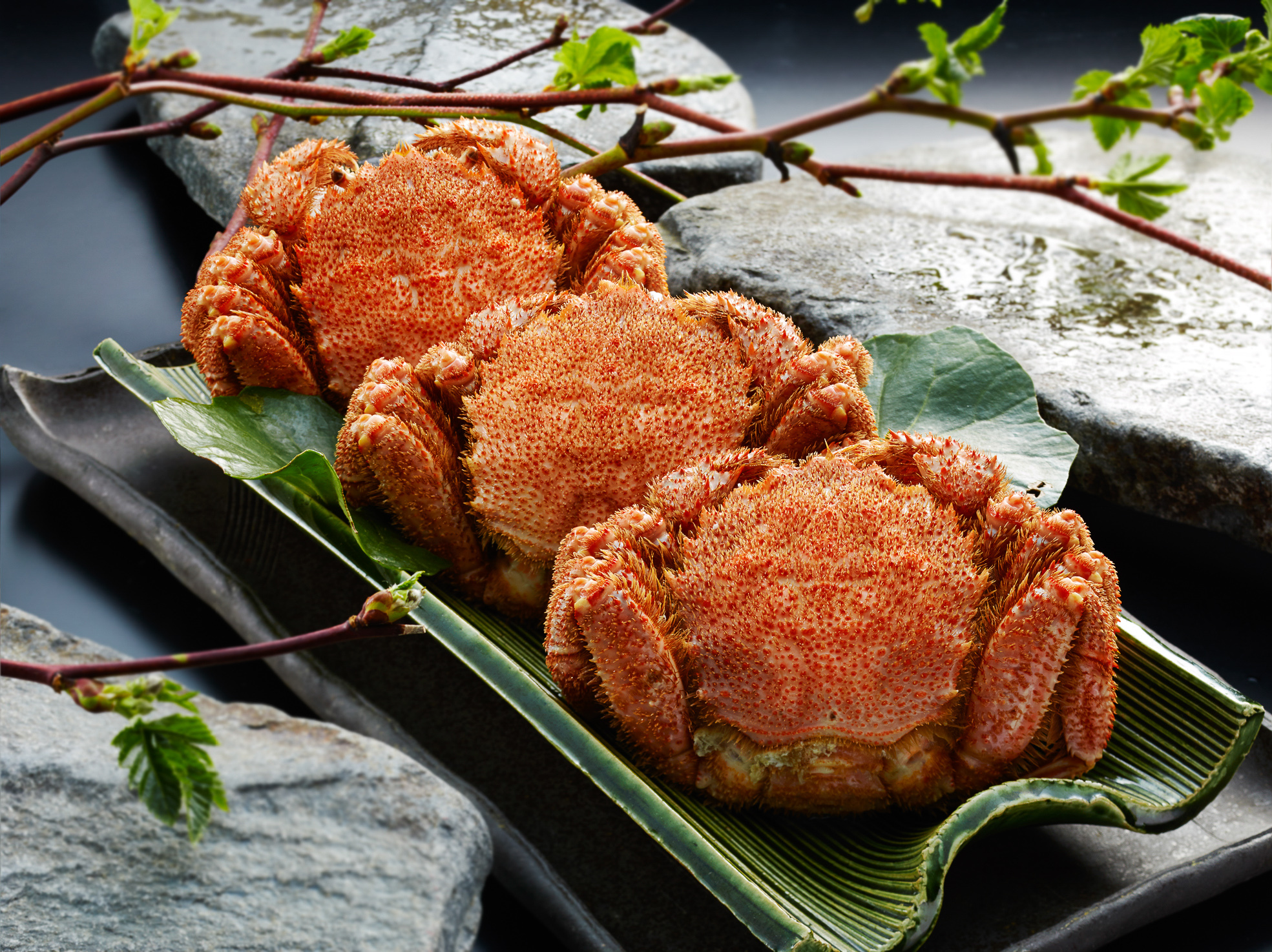 KHB653 ボイル毛がに特大（姿）