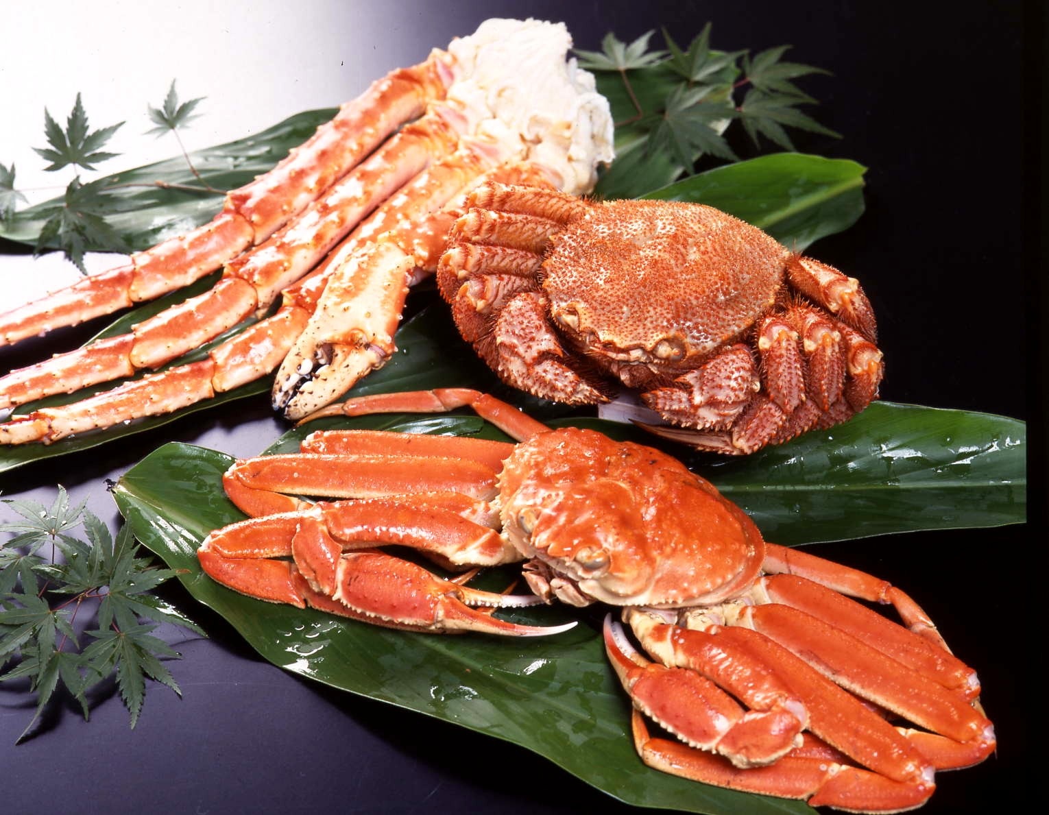 かに三昧  SZKT22 (Z75 K65 T80)