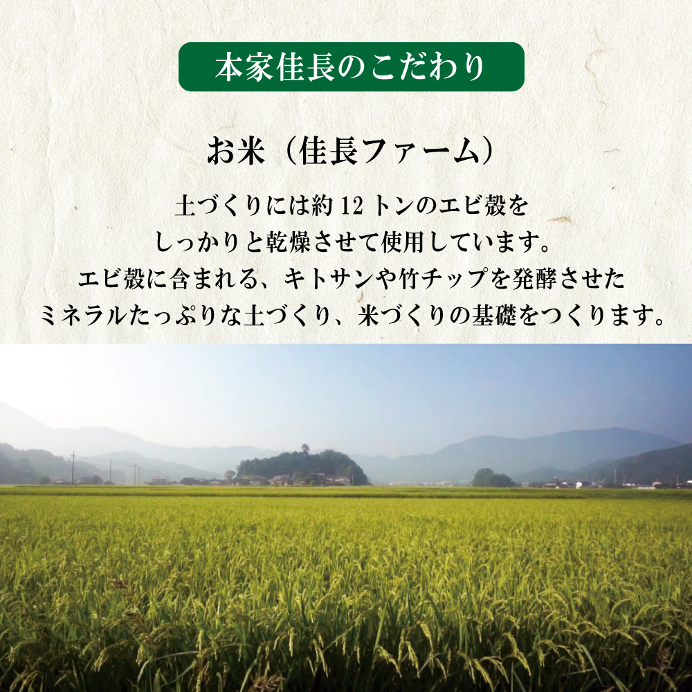九条ねぎ京えびせんべい 16枚入