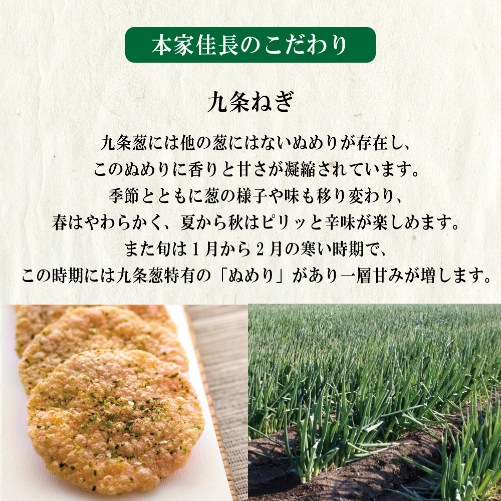 九条ねぎ京えびせんべい 16枚入