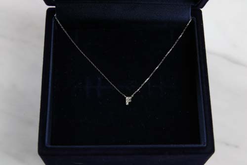 Tiny Initial Necklace-K10