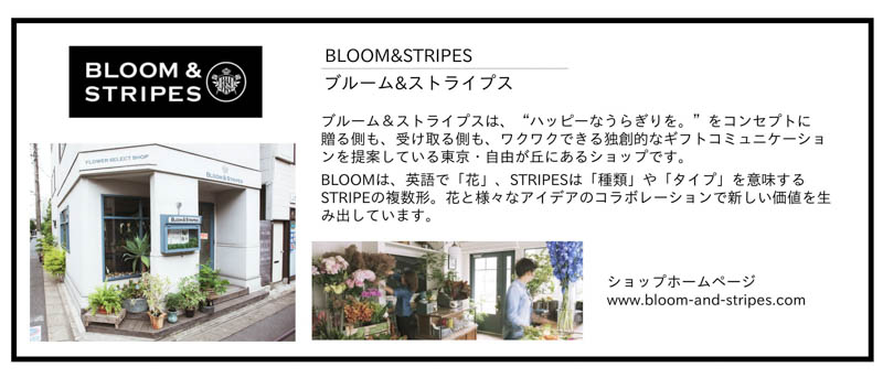 メッセージブーケ・Mサイズ【クール】