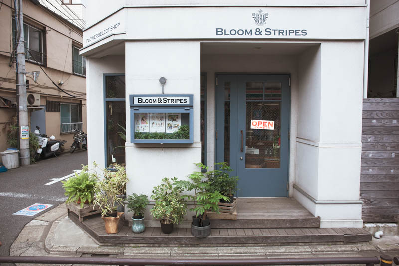 メッセージブーケ・Mサイズ【クール】