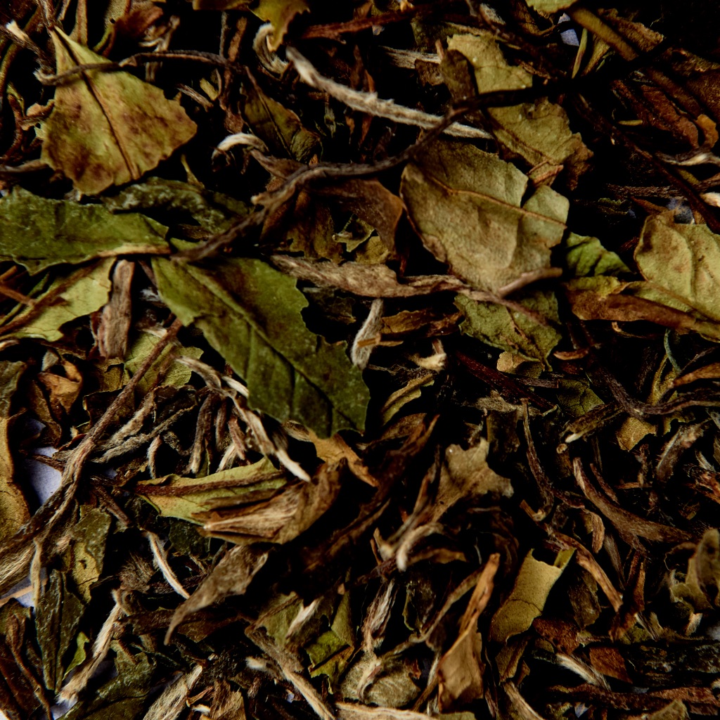 ホワイトキャッスル　ティーバック20袋入