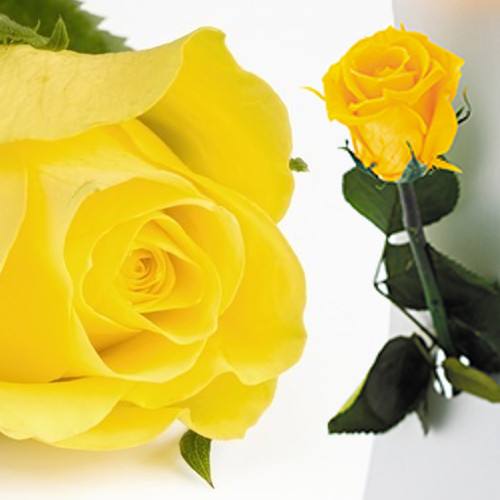 ペア シャンパングラスとスタンド付きプリザーブドフラワーのギフトセット