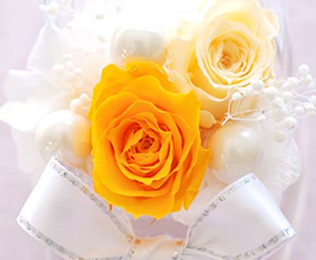 イエロー×クリアヒール の画像