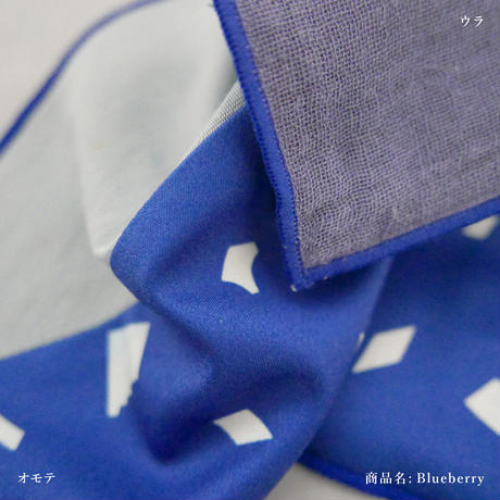 Bleuberry(ブルーベリー） の画像