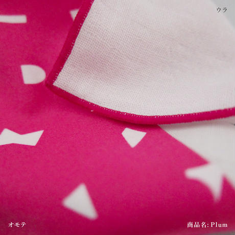 Plum(梅） の画像