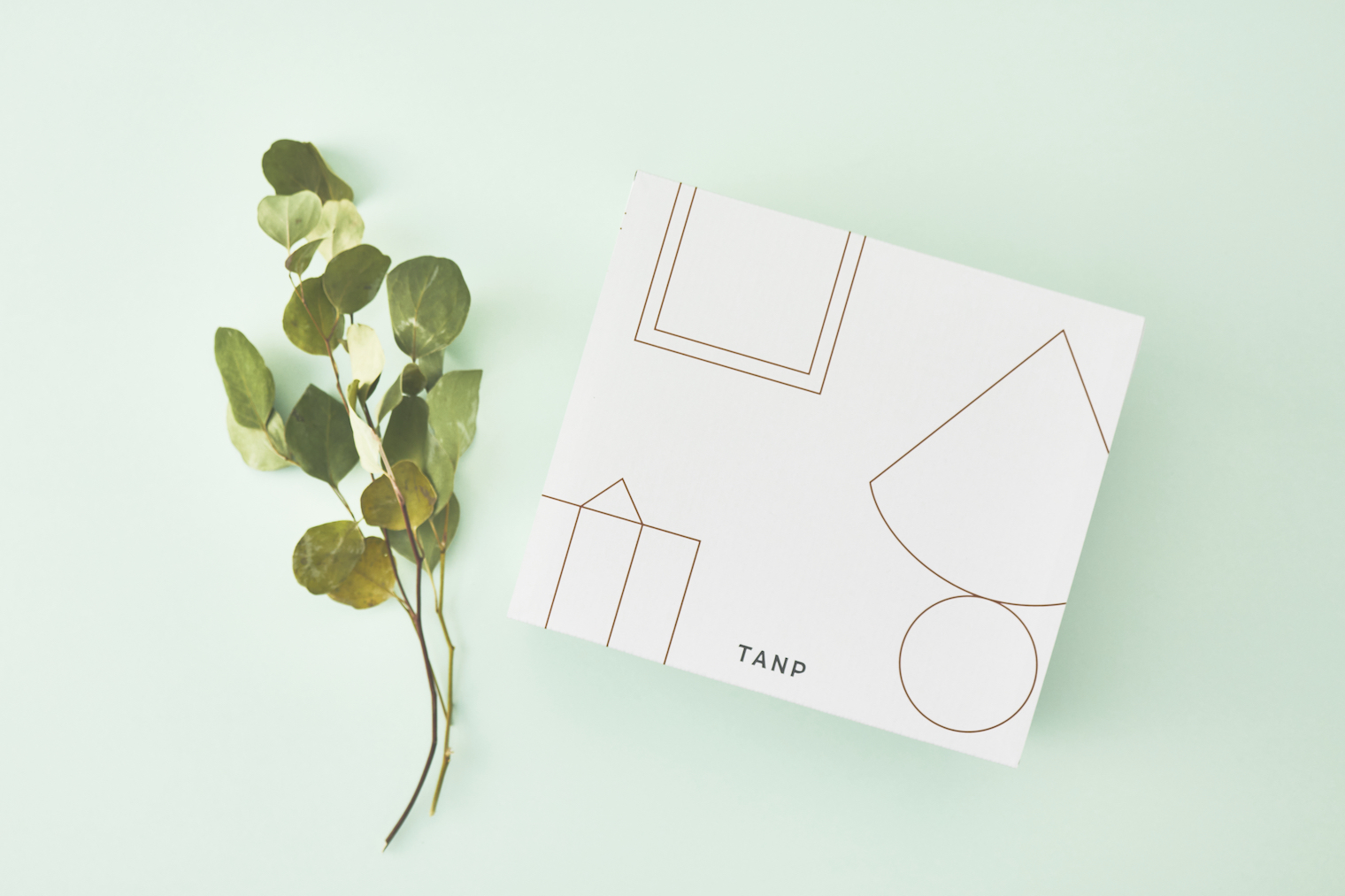 TANP BOX 9月号のテーマは「FOR OUR FUTURE, FOR OUR LIFE」。