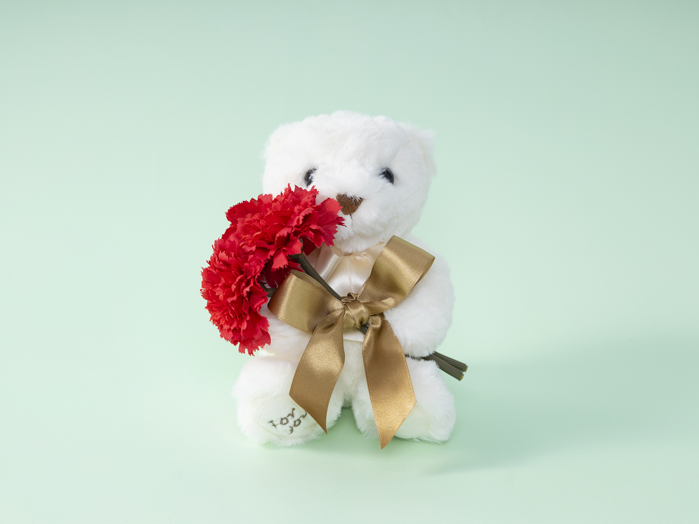 母の日限定オプションで華やかなギフトに！