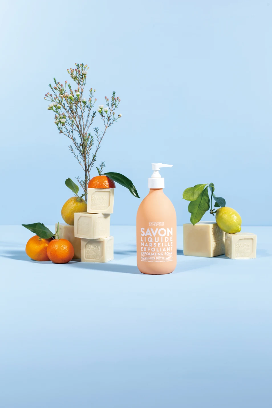 地球への愛を添えて贈ろう〜タンプで始めるSDGs〜