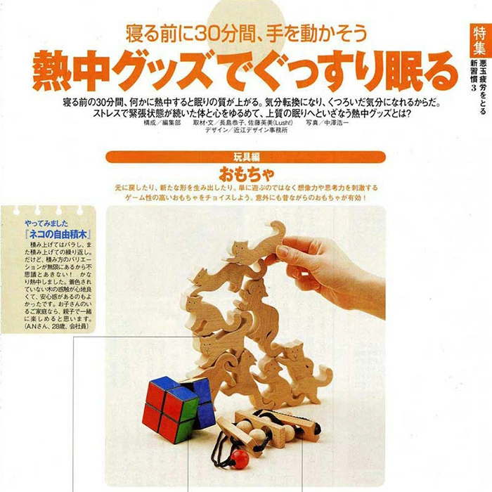 ネコの自由積み木（日本製）創造力を育む木のおもちゃ