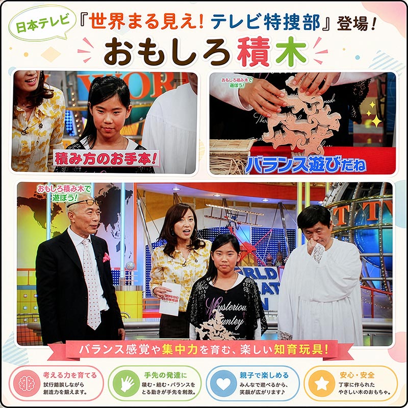 ネコの自由積み木（日本製）創造力を育む木のおもちゃ