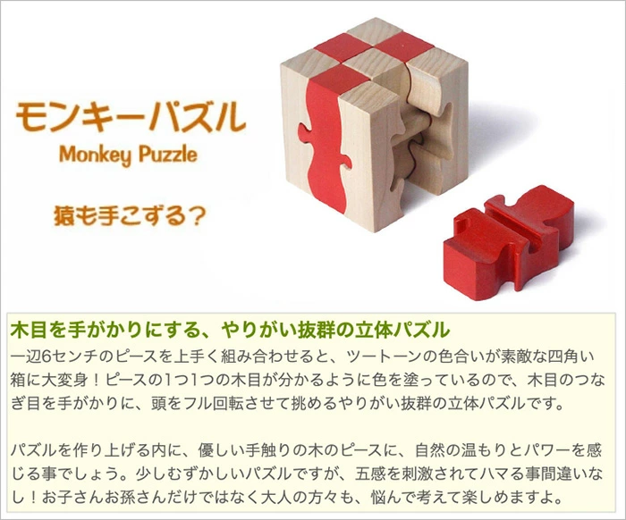 モンキーパズル9ピース（日本製）手指と頭を使う木のおもちゃ