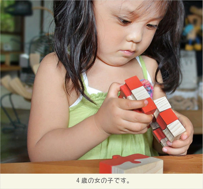 モンキーパズル9ピース（日本製）手指と頭を使う木のおもちゃ