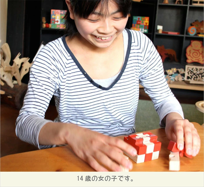 モンキーパズル9ピース（日本製）手指と頭を使う木のおもちゃ