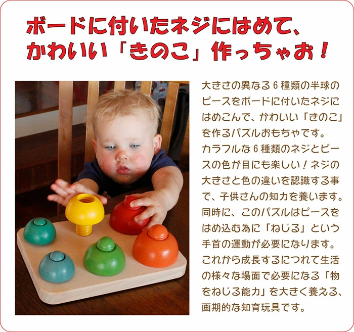 きのこのこのこ（日本製）想像力や美的感覚など様々な力を養う
