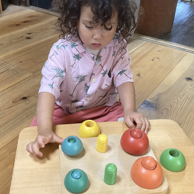 きのこのこのこ（日本製）想像力や美的感覚など様々な力を養う