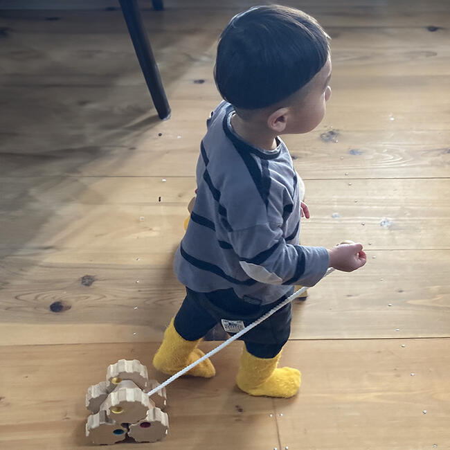 六輪車（歯車オープンタイプ）日本製 ハイハイから歩き始めにお勧め