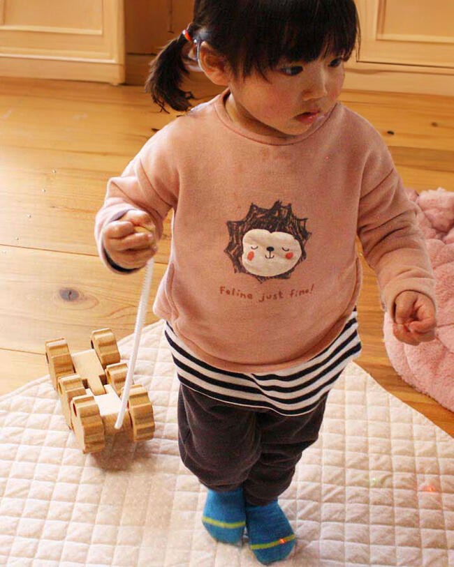 六輪車（歯車オープンタイプ）日本製 ハイハイから歩き始めにお勧め