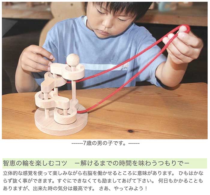 立体知恵の輪（４段）日本製 空間認識力、論理的思考、推理力…。子供