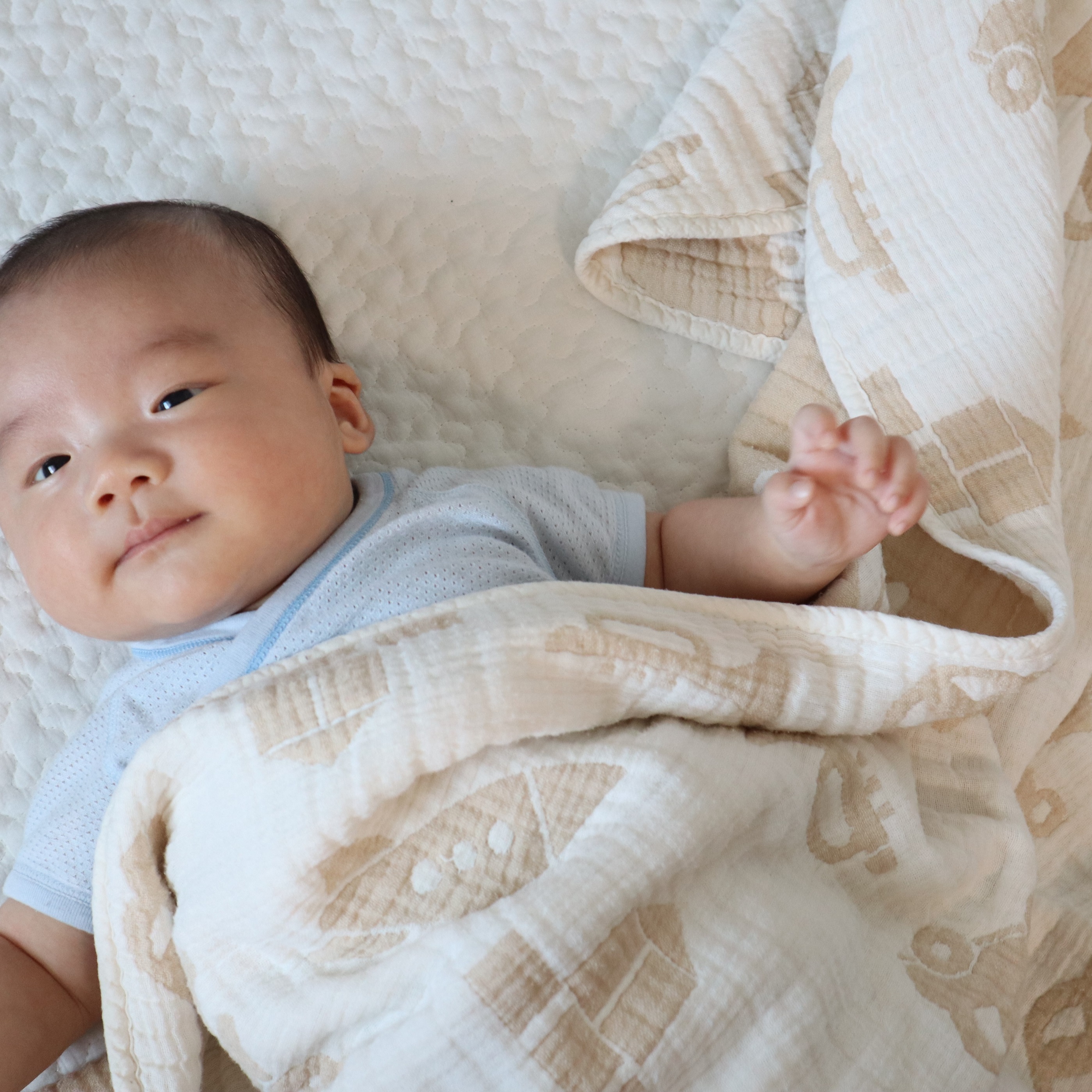 【送料無料・名入れ可能】babybear多重ガーゼベビータオル5点 giftbox