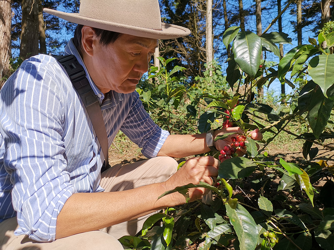 【コーヒー リキッド ギフト】 リキッドアイスコーヒー 3本セット