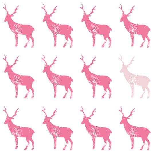 フードタオル+ウォッシュクロスセット