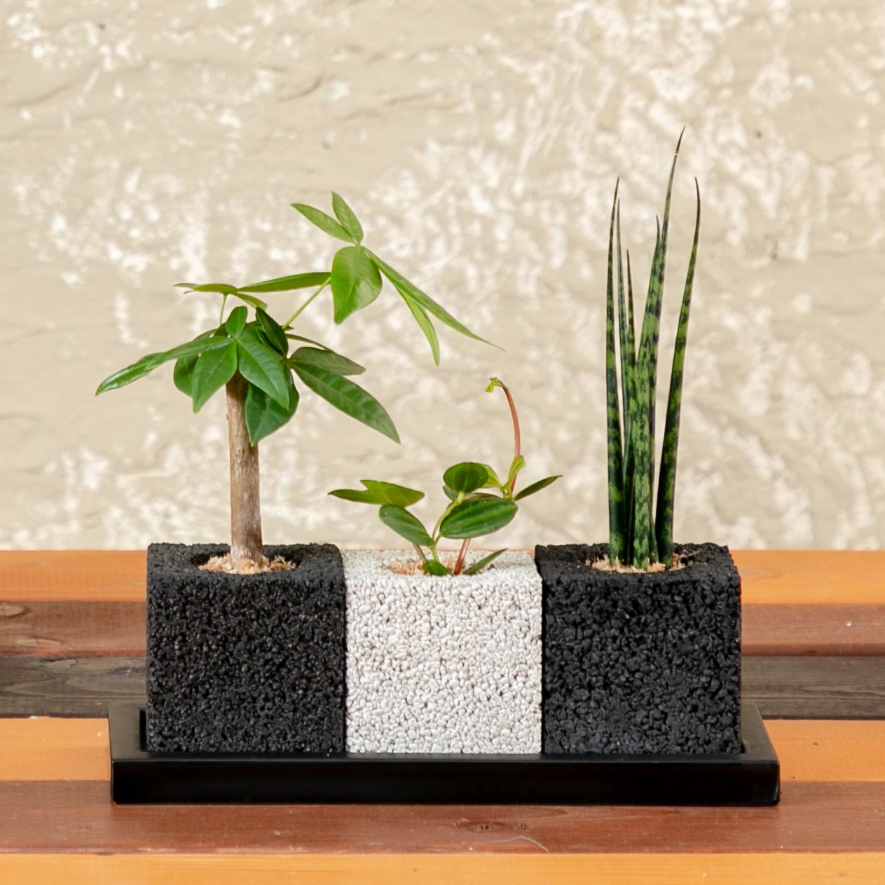 エコ･ポチNEOトゥーリオ