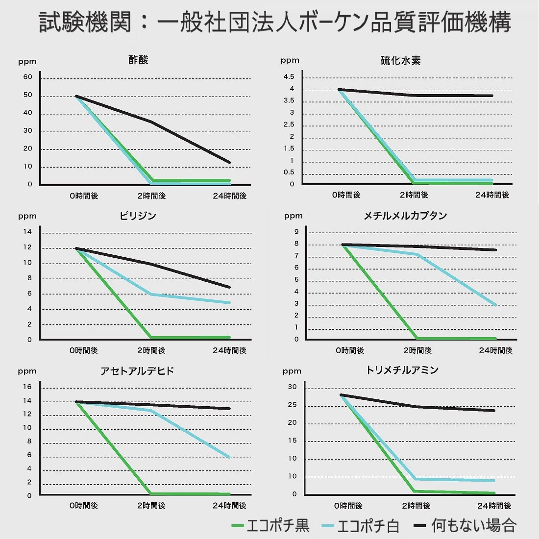 エコ･ポチNEOシリンダー　パキラ