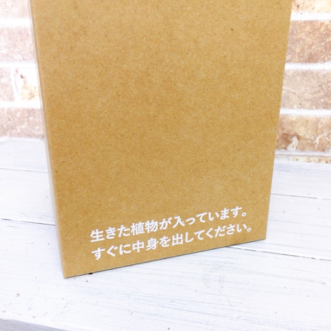 エコ･ポチNEOシリンダー　パキラ