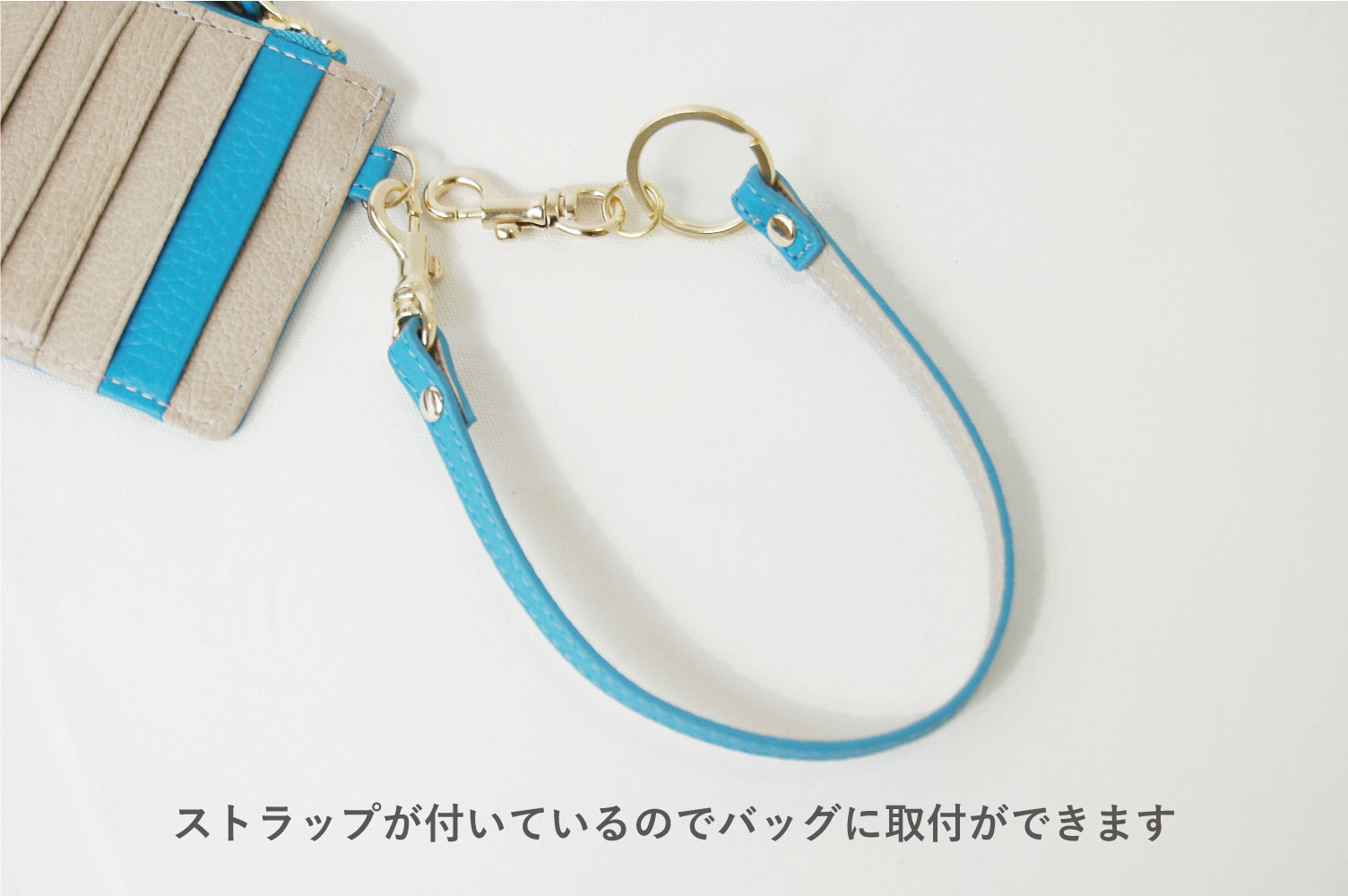 スタラップ付フラグメントケースMJ6121