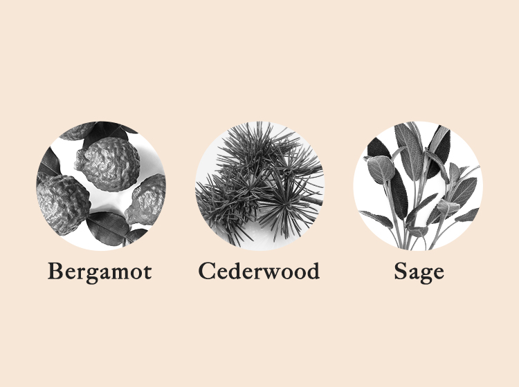 フォーミングウォッシュ