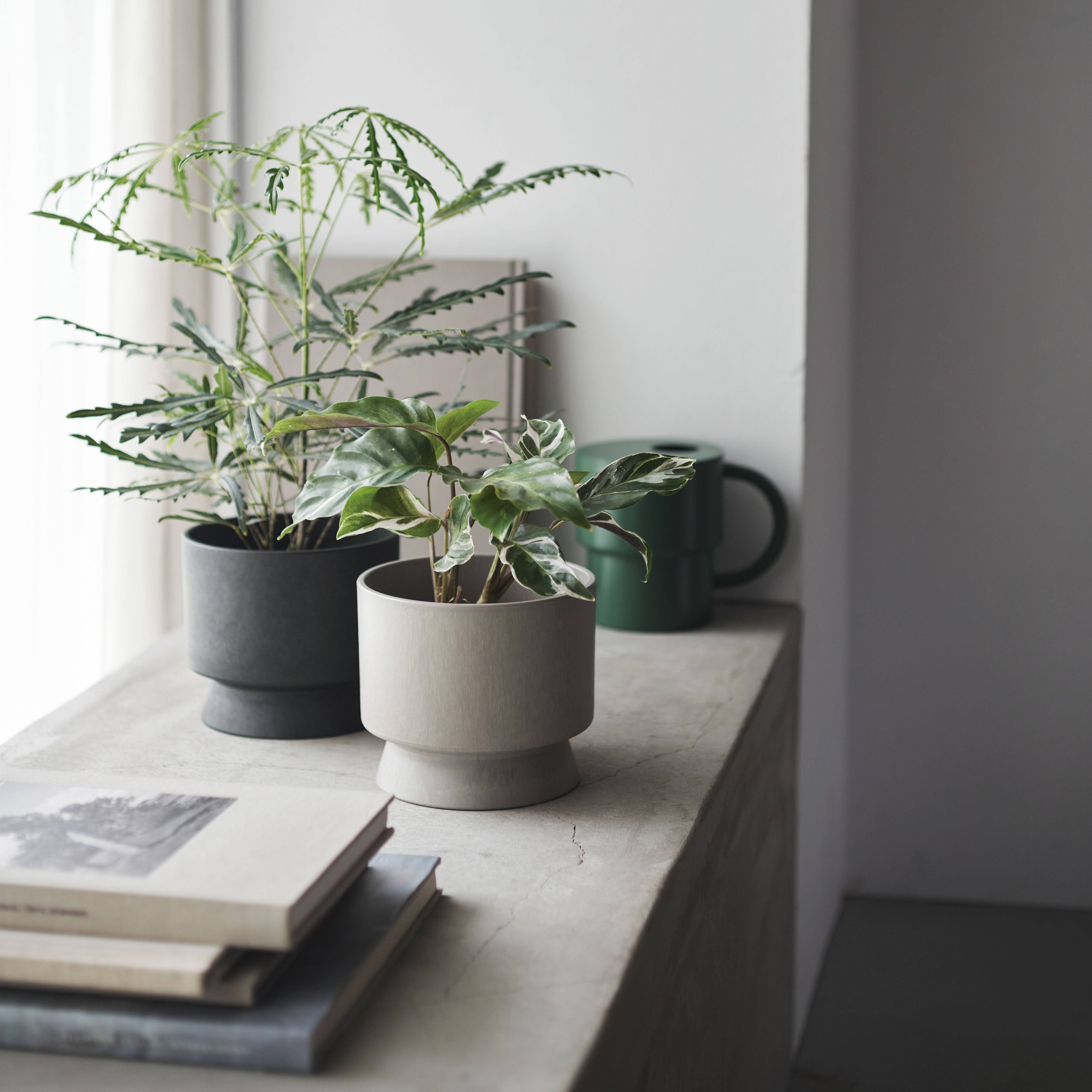 ギフトカタログ　ストロイエ（BOX付き）