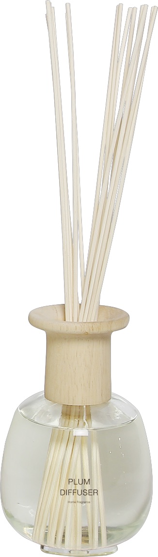 PLUM DIFFUSER MINI