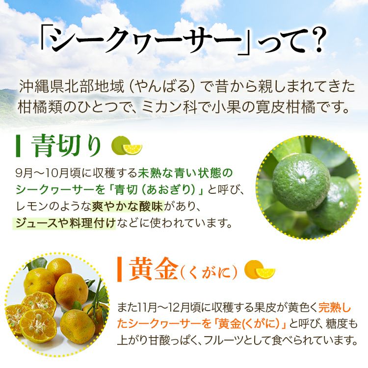 大宜味村産青切シークヮーサージュース(100%)