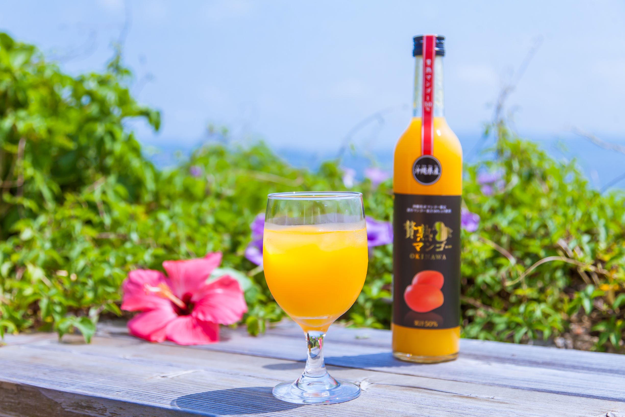 贅熟 沖縄県産マンゴー果汁飲料(50%)＆贅熟 やんばる産タンカン