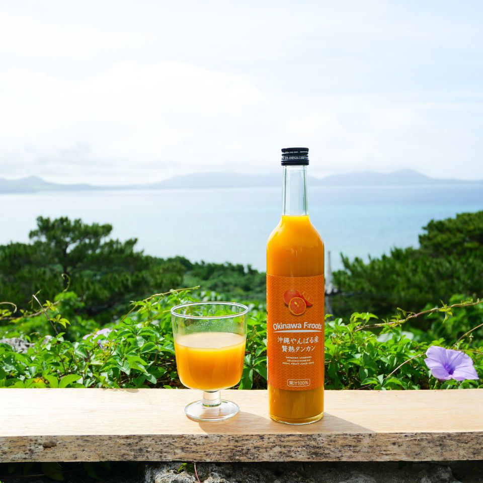 贅熟 沖縄県産マンゴー果汁飲料(50%)＆贅熟 やんばる産タンカンジュース(100%)　2本セット