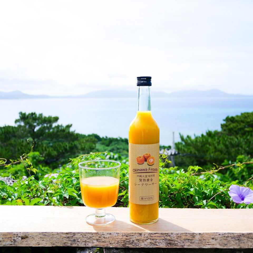 贅熟 沖縄県産マンゴー果汁飲料(50%)＆贅熟 大宜味村産黄金(くがに)シークヮーサージュース(100%)　2本セット