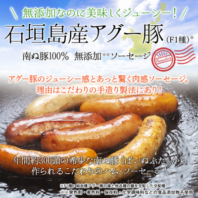 南ぬ豚　無添加ソーセージ味わいセット