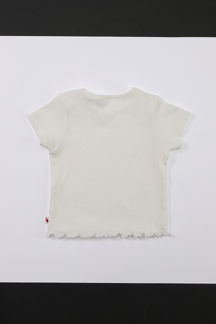 【スタイと綿シルクテレコTシャツのセット】