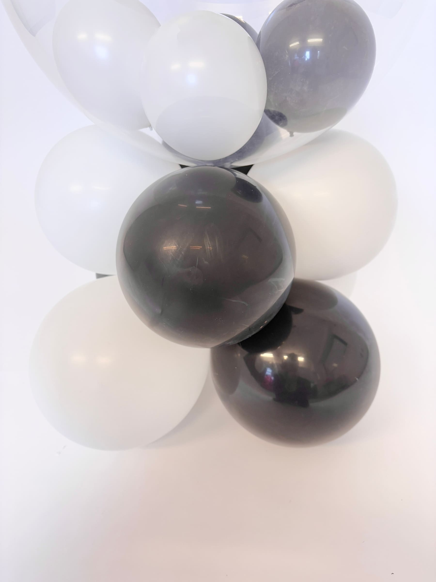 アニマルパーティー