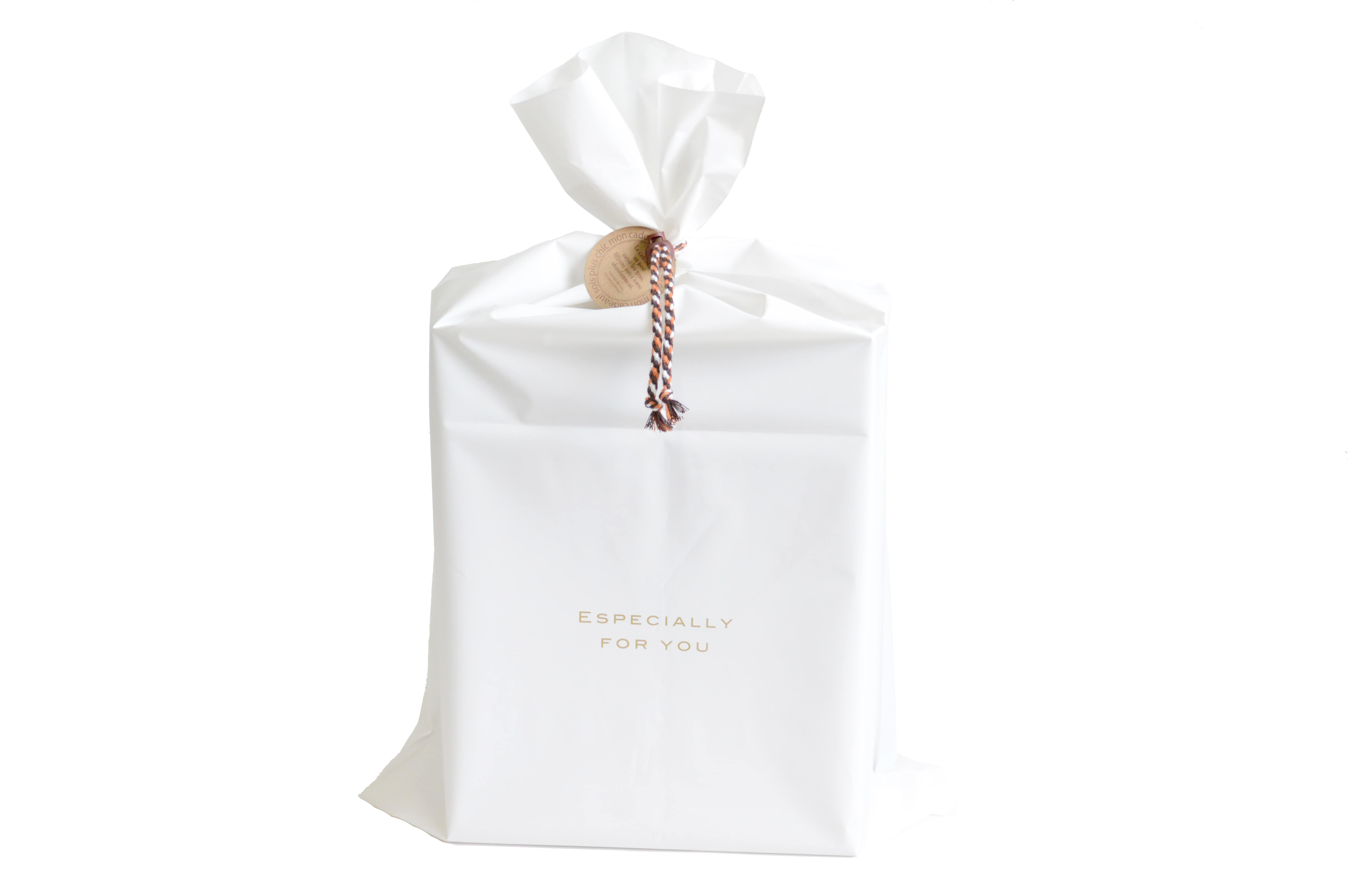 ビーズコースター　マウンテントレインズ