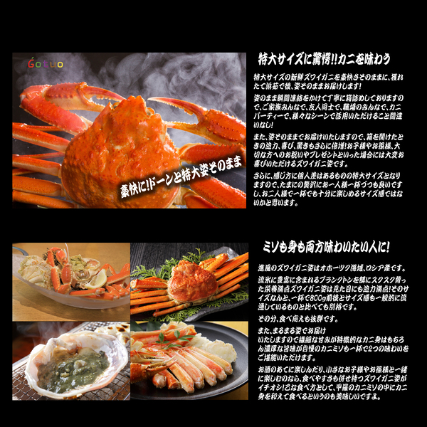 ズワイガニ姿　800g前後×2